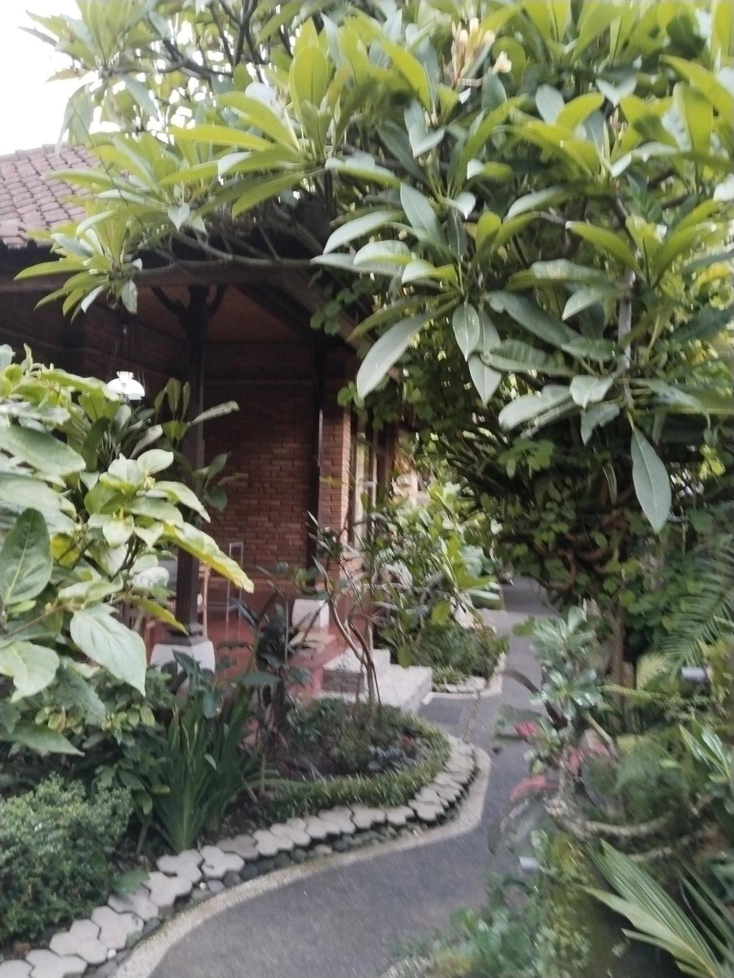 Dewa Bungalows Ubud  Ruang foto