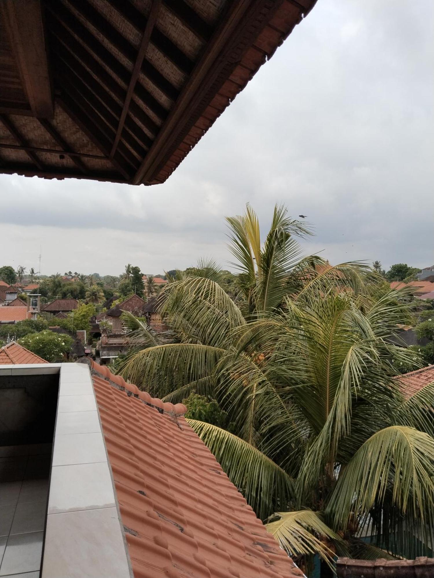 Dewa Bungalows Ubud  Ruang foto