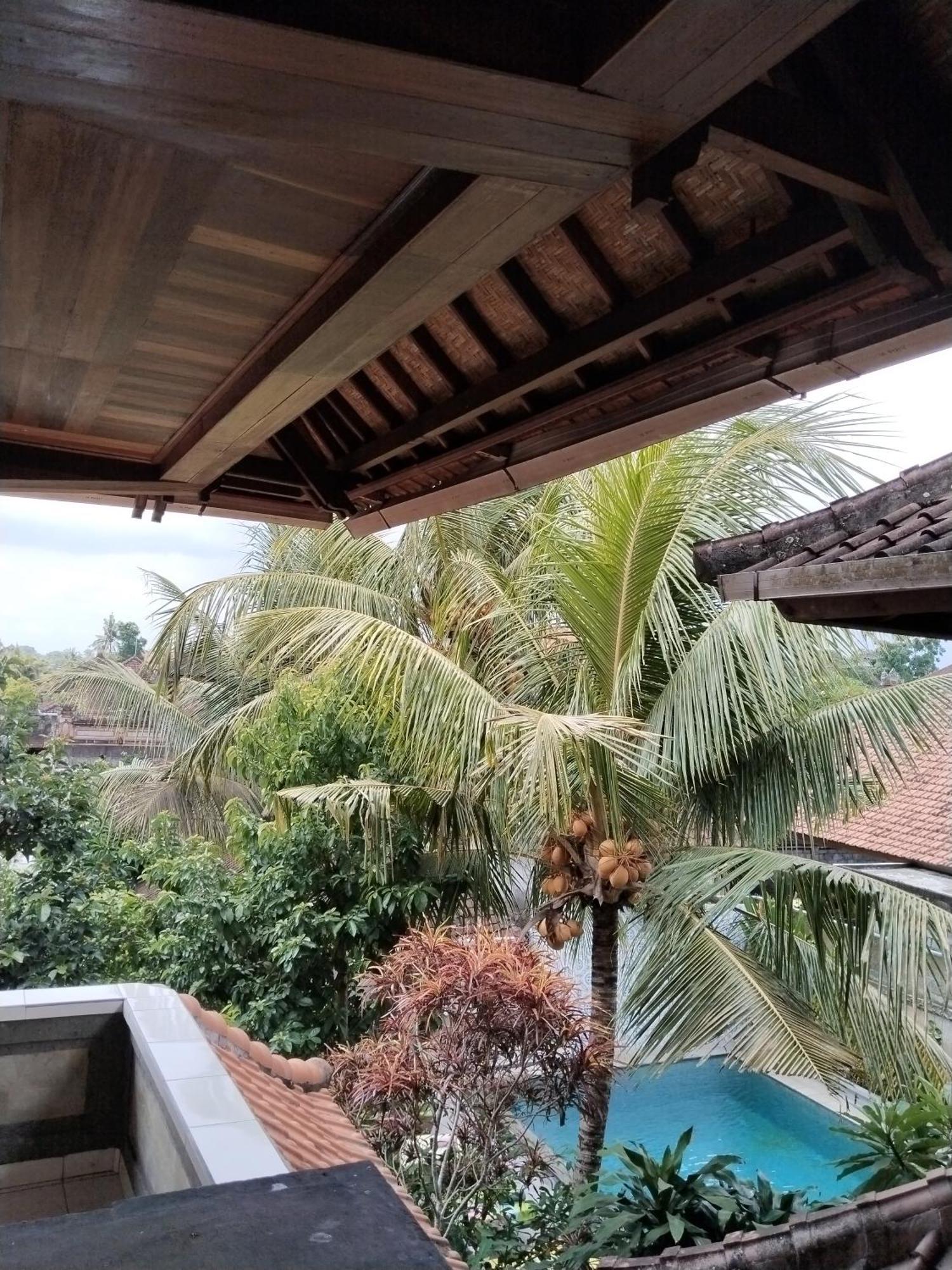 Dewa Bungalows Ubud  Ruang foto