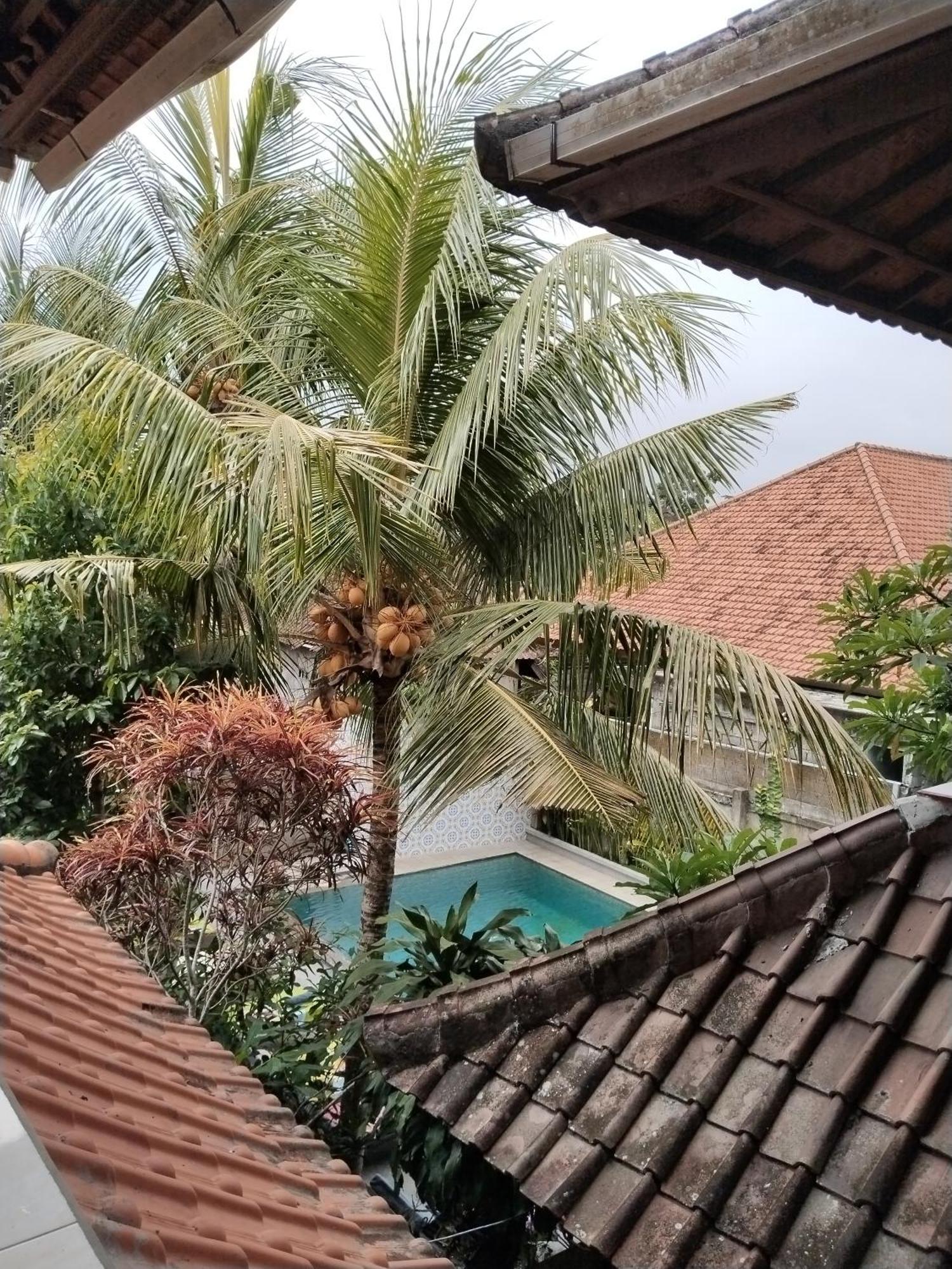 Dewa Bungalows Ubud  Ruang foto